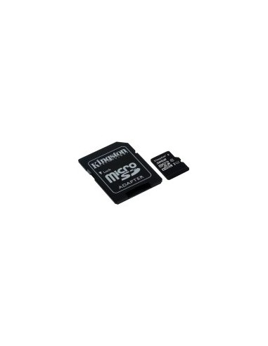 Kingston 32GB microSDHC Endurance...